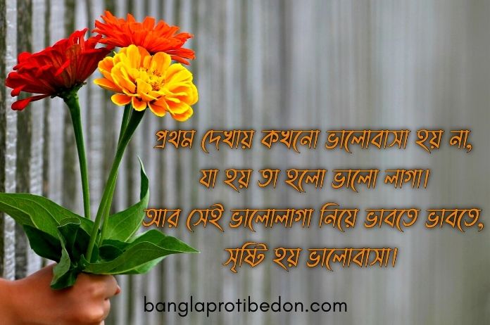 তীব্র প্রেমের কবিতা ও ছন্দ,love poem, premer kobita, প্রেমের কবিতা, নতুন প্রেমের কবিতা 