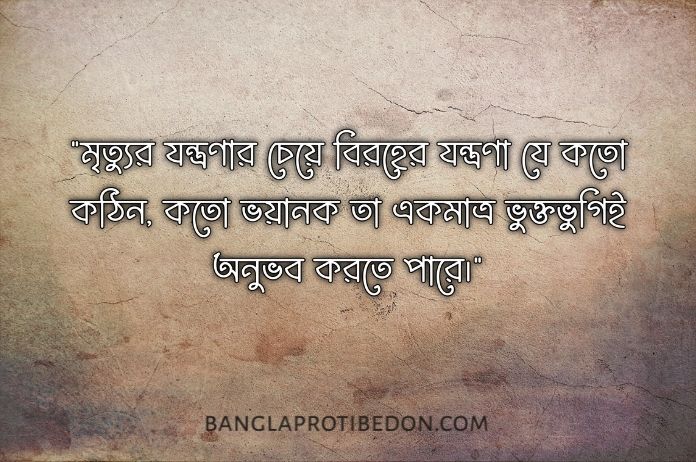 সেরা বিরহের কবিতা, Biroher kobita, বিরহের কবিতা, বাংলা বিরহের কবিতা, কবিতা, বিরহের কবিতা ও ছন্দ