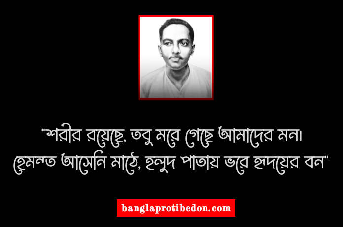 জীবনানন্দ দাশের উক্তি ও বিখ্যাত বাণী, জীবনানন্দ দাশের উক্তি, জীবনানন্দ দাশের বাণী, জীবনানন্দ দাশ,