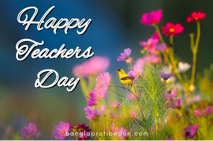 Happy Teachers Day Quotes, শিক্ষক দিবসের শুভেচ্ছা বার্তা, শুভ শিক্ষক দিবস, শুভ শিক্ষক দিবস sms, শুভ শিক্ষক দিবস স্যার, শিক্ষক দিবসের বাণী ও উক্তি, Happy Teachers Day, শিক্ষক দিবসের বাণী ও উক্তি, Teachers Day Wishes in English